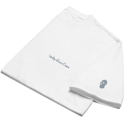 Embroidered Disillusioned Oversized Tee